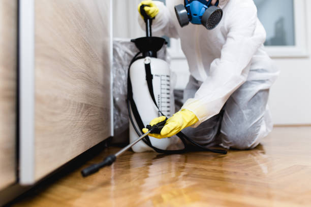  Brentwood, MD Pest Control Pros