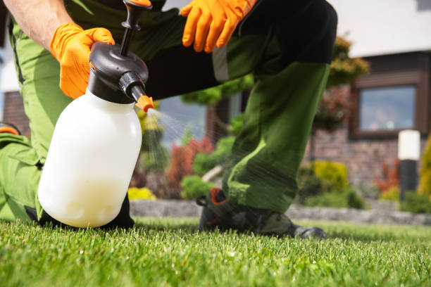 Best Commercial Pest Control Services  in Brentwood, MD