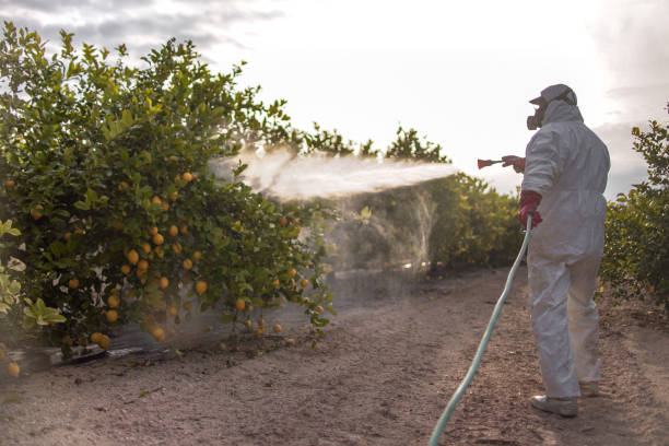 Best Best Pest Control Companies  in Brentwood, MD
